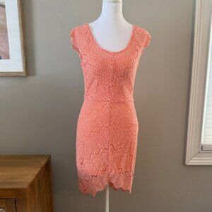 Acemi Peach Lace Top
